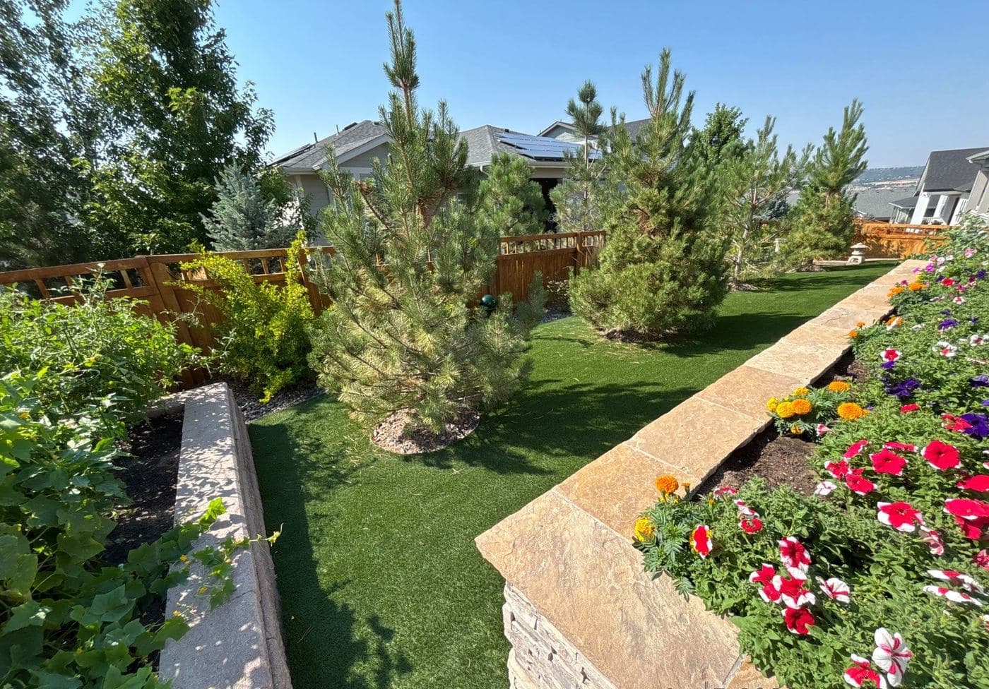 Back garden beds and lawn enclosed by a freshly stained fence